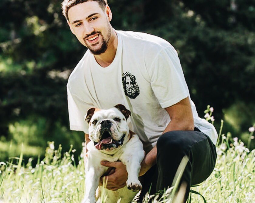 日预约开启 日预约开启